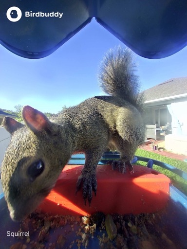 4E73A74E-C055-4F43-99EC-45171ECF3227_1_105_c