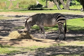 IMG_3876